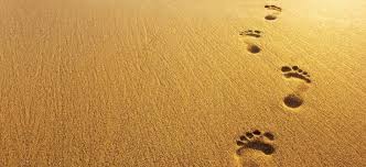 The Quiet Space: The beautiful footprints you leave behind... - News Nation  English